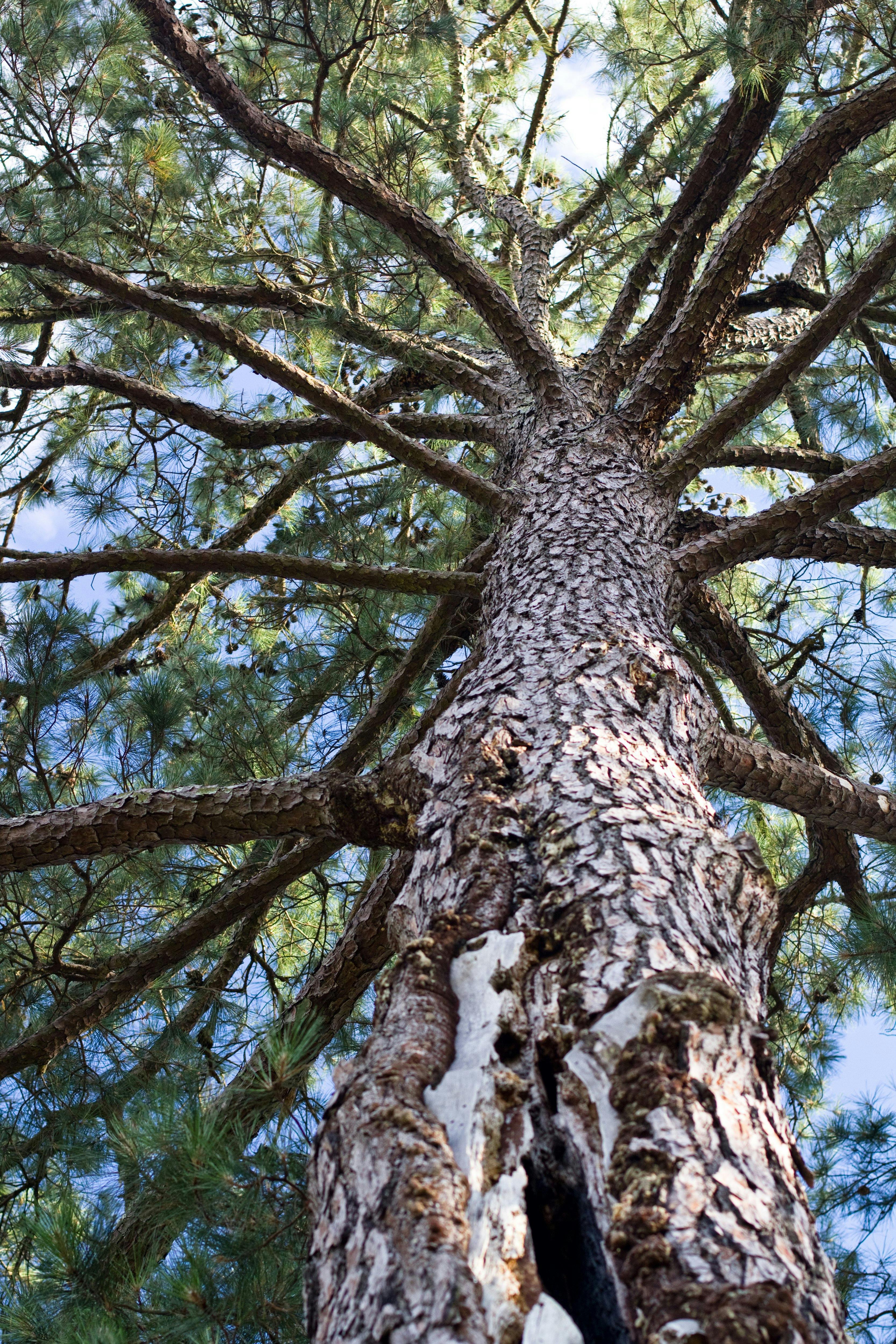 Preserve the Future: Fundraising for Course Enhancements, Year-Round Enjoyment, and Sustainable Growth