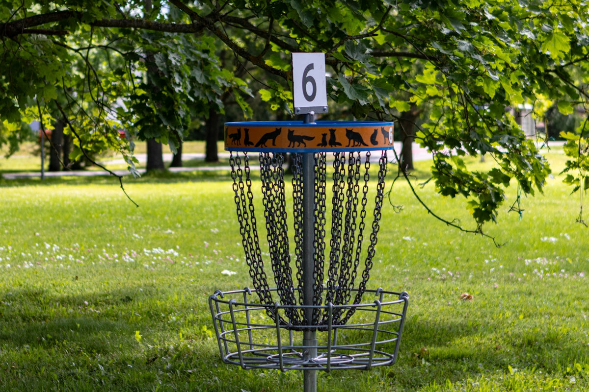 a frisbee golf cage in the middle of a park