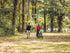 GGGT Go Cart Disc Golf Cart - Gotta Go Gotta Throw