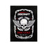 Discraft Accessory Discraft 2015 Ace Race Winged Skull Sticker