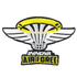 Innova Accessory Innova Air Force Iron-On Disc Golf Patch